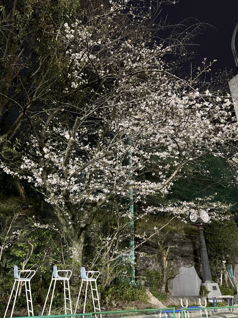 画像に alt 属性が指定されていません。ファイル名: IMG_3932-768x1024.jpg